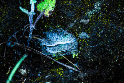 Kintamani, Indonesia — fine art travel photography print available from Clever Tourists