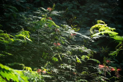 Kintamani, Indonesia — fine art travel photography print available from Clever Tourists