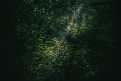 Kintamani, Indonesia — fine art travel photography print available from Clever Tourists