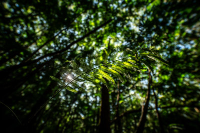 Kintamani, Indonesia — fine art travel photography print available from Clever Tourists