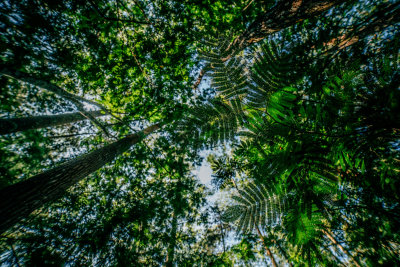 Kintamani, Indonesia — fine art travel photography print available from Clever Tourists