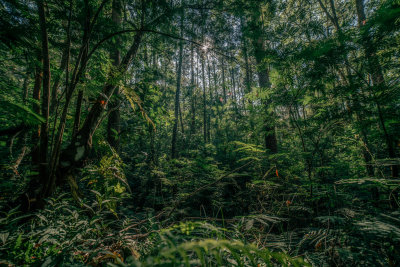 Kintamani, Indonesia — fine art travel photography print available from Clever Tourists