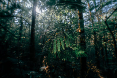Kintamani, Indonesia — fine art travel photography print available from Clever Tourists