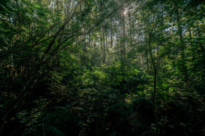 Kintamani, Indonesia — fine art travel photography print available from Clever Tourists