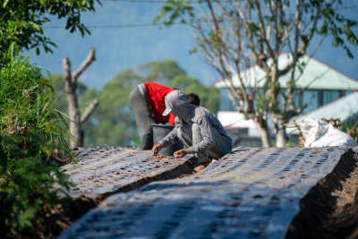 Kintamani, Indonesia — fine art travel photography print available from Clever Tourists