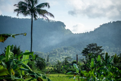 Sidemen, Indonesia — fine art travel photography print available from Clever Tourists