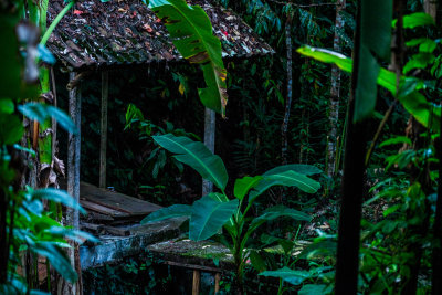 Sidemen, Indonesia — fine art travel photography print available from Clever Tourists