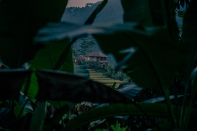 Sidemen, Indonesia — fine art travel photography print available from Clever Tourists