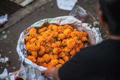 Sidemen, Indonesia — fine art travel photography print available from Clever Tourists