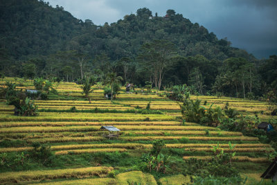 Sidemen, Indonesia — fine art travel photography print available from Clever Tourists