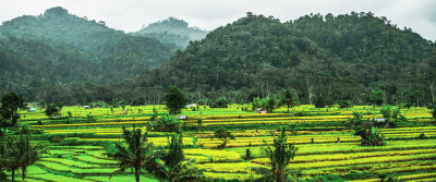 Sidemen, Indonesia — fine art travel photography print available from Clever Tourists
