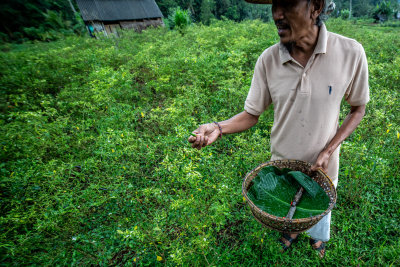 Sidemen, Indonesia — fine art travel photography print available from Clever Tourists