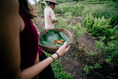 Sidemen, Indonesia — fine art travel photography print available from Clever Tourists
