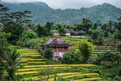 Sidemen, Indonesia — fine art travel photography print available from Clever Tourists