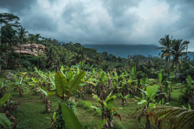 Sidemen, Indonesia — fine art travel photography print available from Clever Tourists