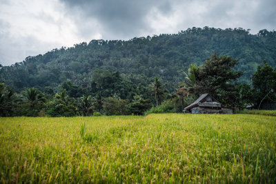 Sidemen, Indonesia — fine art travel photography print available from Clever Tourists