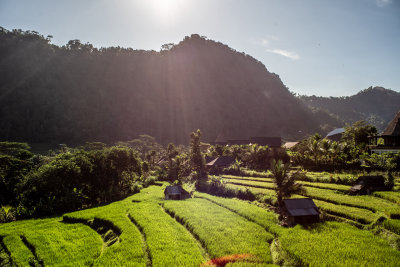 Sidemen, Indonesia — fine art travel photography print available from Clever Tourists