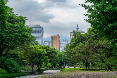 Seoul, South Korea — fine art travel photography print available from Clever Tourists