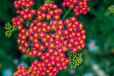 Seoul, South Korea — fine art travel photography print available from Clever Tourists