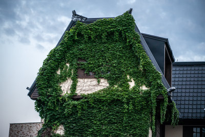 Jeonju, South Korea — fine art travel photography print available from Clever Tourists