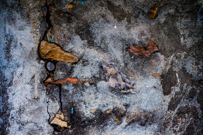 Seogwipo, South Korea — fine art travel photography print available from Clever Tourists