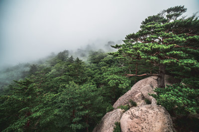 Sokcho, South Korea — fine art travel photography print available from Clever Tourists