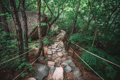 Sokcho, South Korea — fine art travel photography print available from Clever Tourists