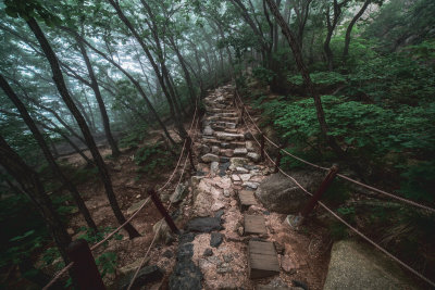 Sokcho, South Korea — fine art travel photography print available from Clever Tourists