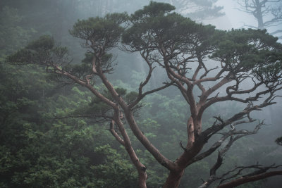Sokcho, South Korea — fine art travel photography print available from Clever Tourists