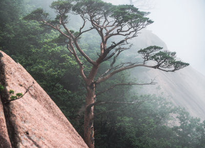 Sokcho, South Korea — fine art travel photography print available from Clever Tourists