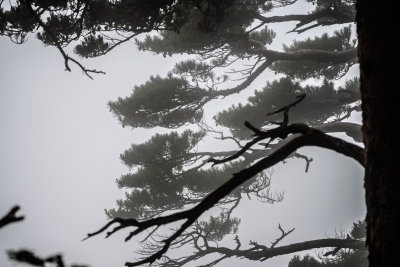 Sokcho, South Korea — fine art travel photography print available from Clever Tourists