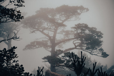 Sokcho, South Korea — fine art travel photography print available from Clever Tourists