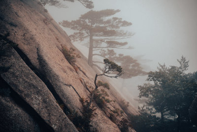 Sokcho, South Korea — fine art travel photography print available from Clever Tourists