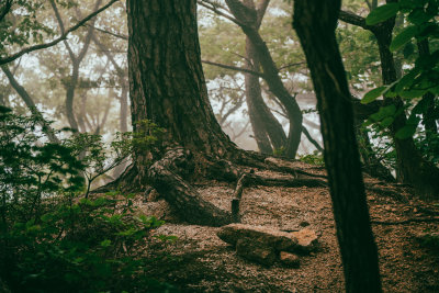 Sokcho, South Korea — fine art travel photography print available from Clever Tourists