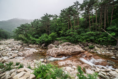 Sokcho, South Korea — fine art travel photography print available from Clever Tourists