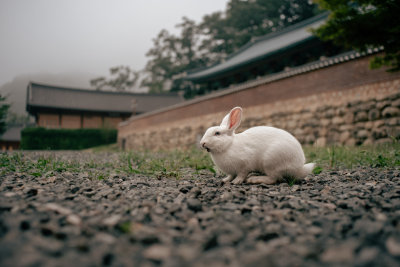Sokcho, South Korea — fine art travel photography print available from Clever Tourists
