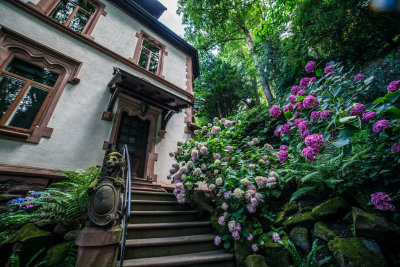 Heidelberg, Germany — fine art travel photography print available from Clever Tourists