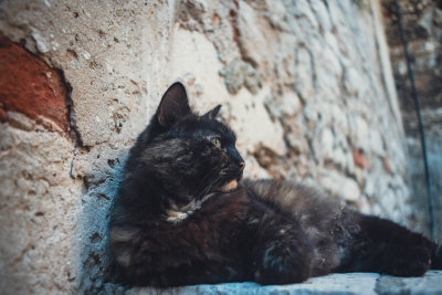 Sibenik, Croatia — fine art travel photography print available from Clever Tourists