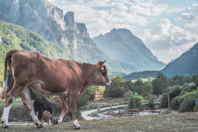 Gusinje, Montenegro — fine art travel photography print available from Clever Tourists