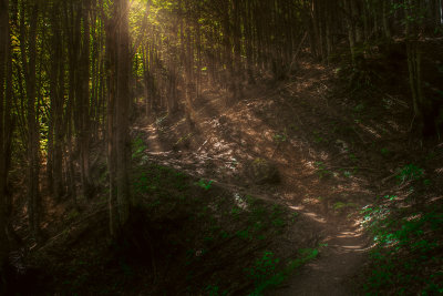 Gusinje, Montenegro — fine art travel photography print available from Clever Tourists
