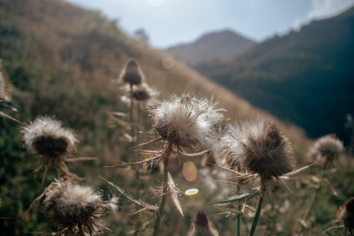 Gusinje, Montenegro — fine art travel photography print available from Clever Tourists