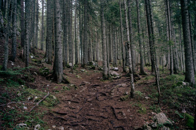 Zabljak, Montenegro — fine art travel photography print available from Clever Tourists
