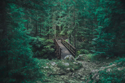 Zabljak, Montenegro — fine art travel photography print available from Clever Tourists