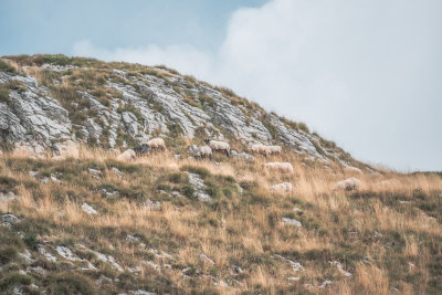 Niksic, Montenegro — fine art travel photography print available from Clever Tourists