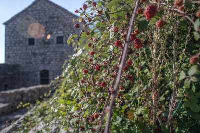 Niksic, Montenegro — fine art travel photography print available from Clever Tourists