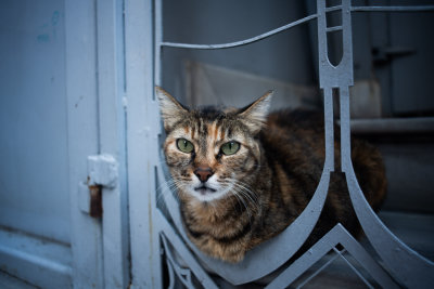 Istanbul, Turkey — fine art travel photography print available from Clever Tourists