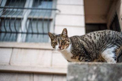 Istanbul, Turkey — fine art travel photography print available from Clever Tourists