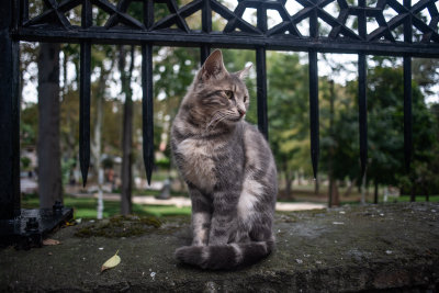 Istanbul, Turkey — fine art travel photography print available from Clever Tourists