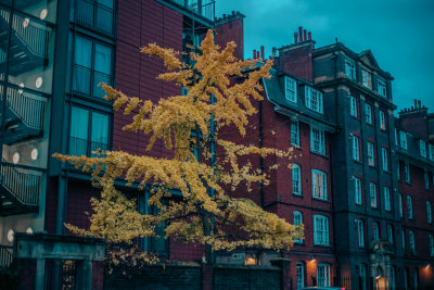 London, England — fine art travel photography print available from Clever Tourists
