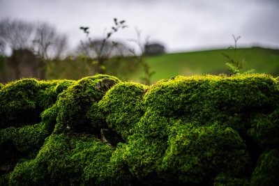 Castleton, England — fine art travel photography print available from Clever Tourists